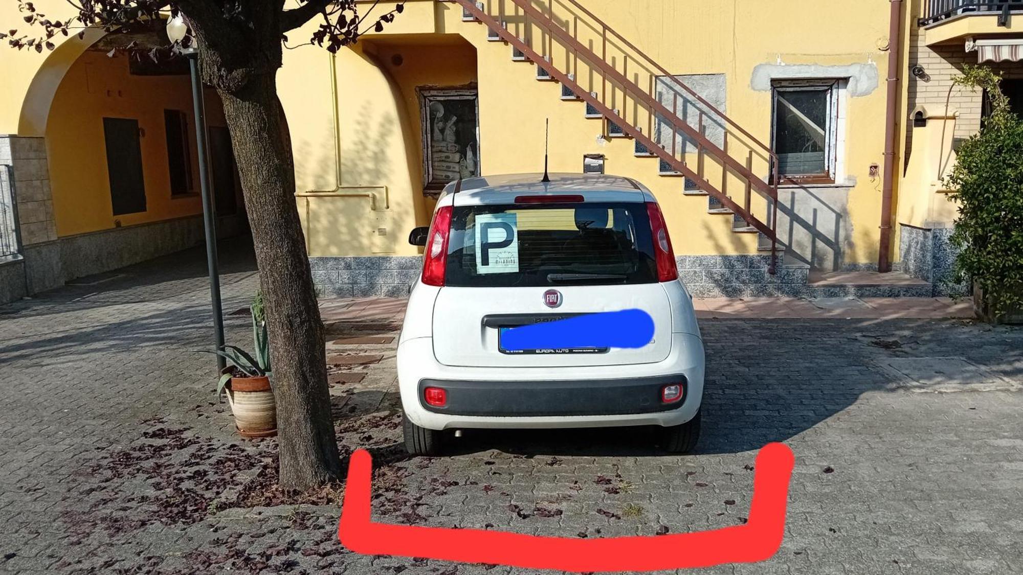 Apartament Rose' S House Fiera Milano Senago Zewnętrze zdjęcie